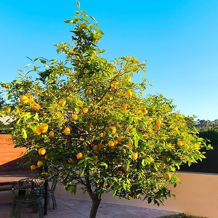 Adosado Con Jardin En Los Xalets De Salou Dış mekan fotoğraf