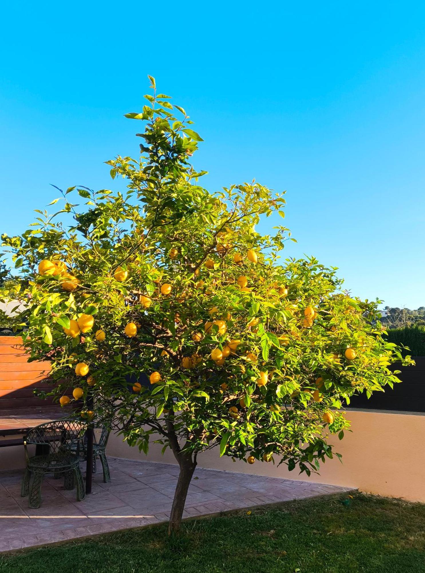 Adosado Con Jardin En Los Xalets De Salou Dış mekan fotoğraf